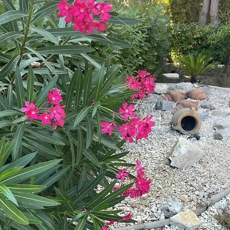 Swiss Qerret Lägenhet