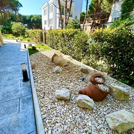 Swiss Qerret Golem (Tirana)