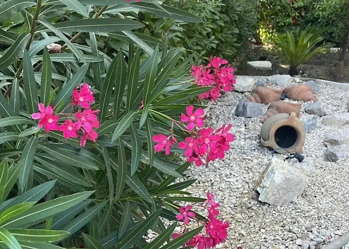 Swiss Qerret Apartment